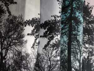 French Terry „Wyld Forest“ Dark Wood grau